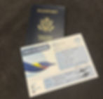 Airplane Ticket for flight to Antarctica