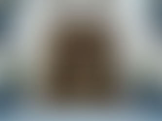 Understanding the RBA's decision to hold the cash rate at 3.6% for its last meeting of 2025