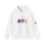 Athletic Easter He has risen hoodie