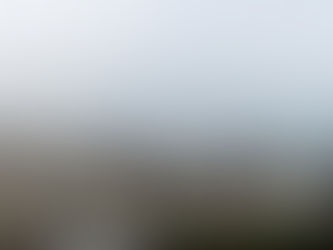 Don't Let a Dry Winter Fool You! Your Property Still Needs a Spring Checkup