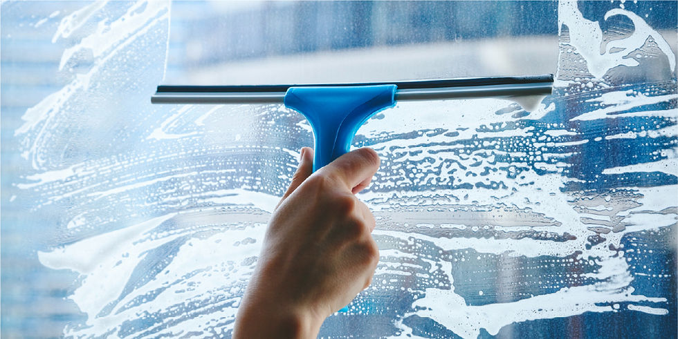 Spring Has Sprung — Time to Wash the Windows
