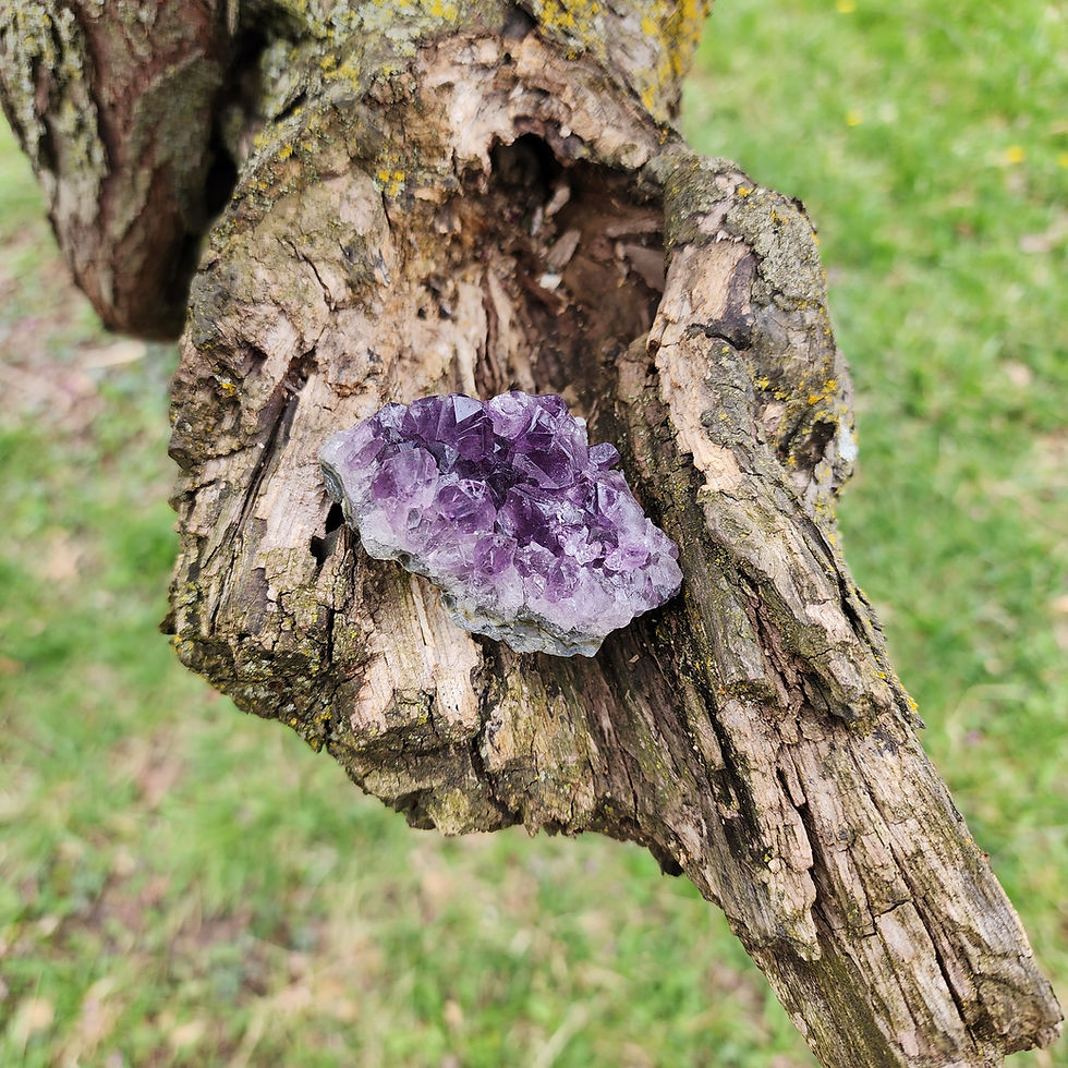 Thumbnail: Amethyst cluster 