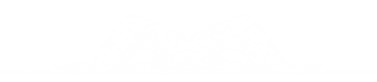 adorno mandala oficial.png