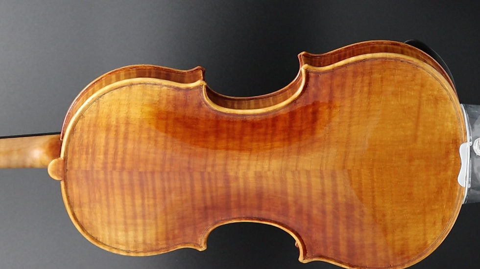 Thumbnail: Violin Model Montagnana