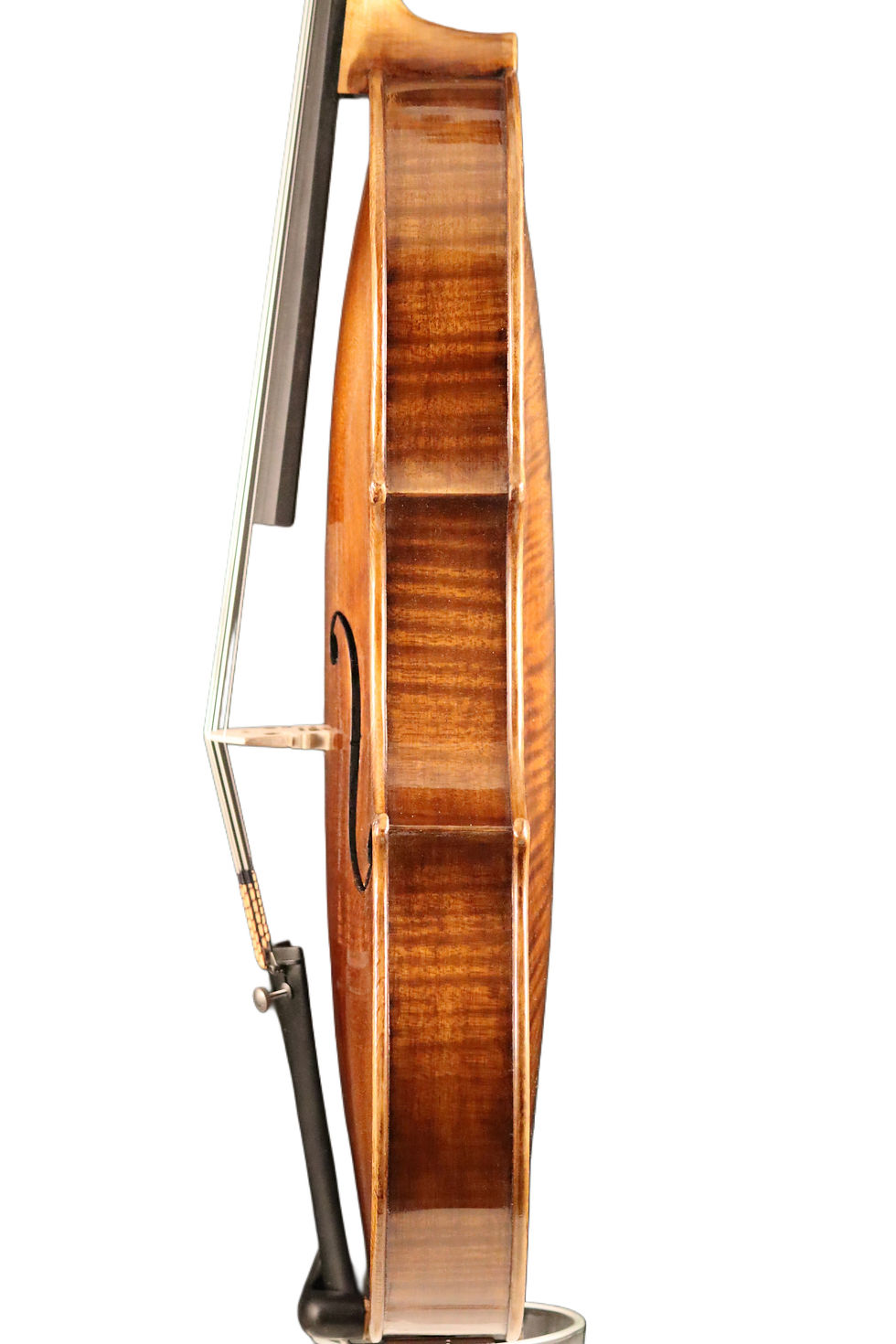 Miniaturbild: Viola eigenes Modell 4