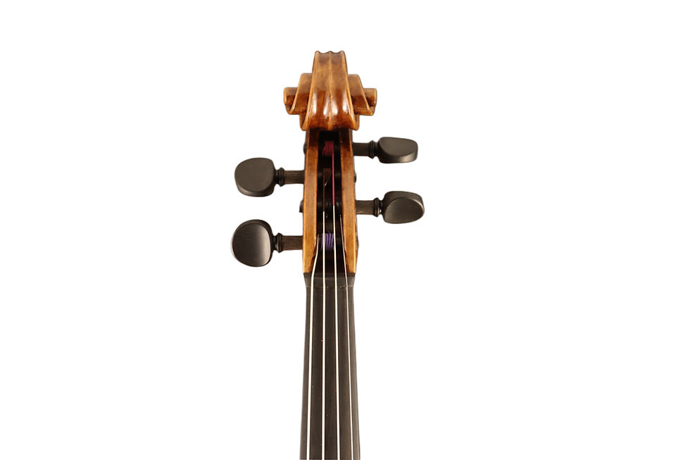 Thumbnail: Viola Riebl Model 4