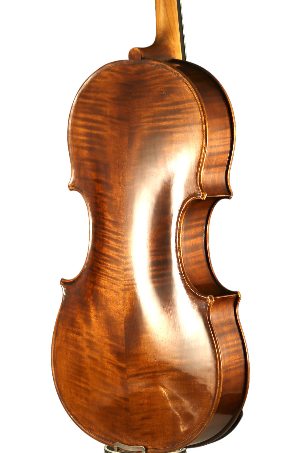 Miniaturbild: Viola eigenes Modell 2