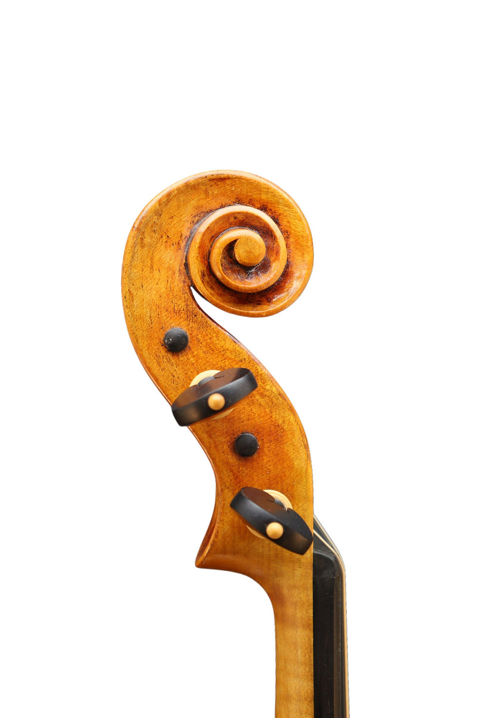 Miniaturbild: Violine Modell ‚Il Cannone‘ 