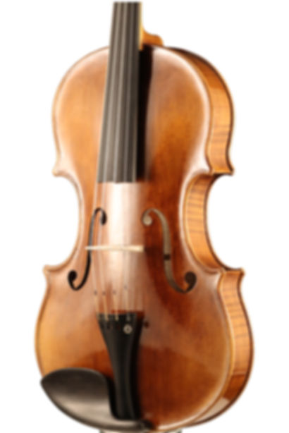 Viola eigenes Modell 4