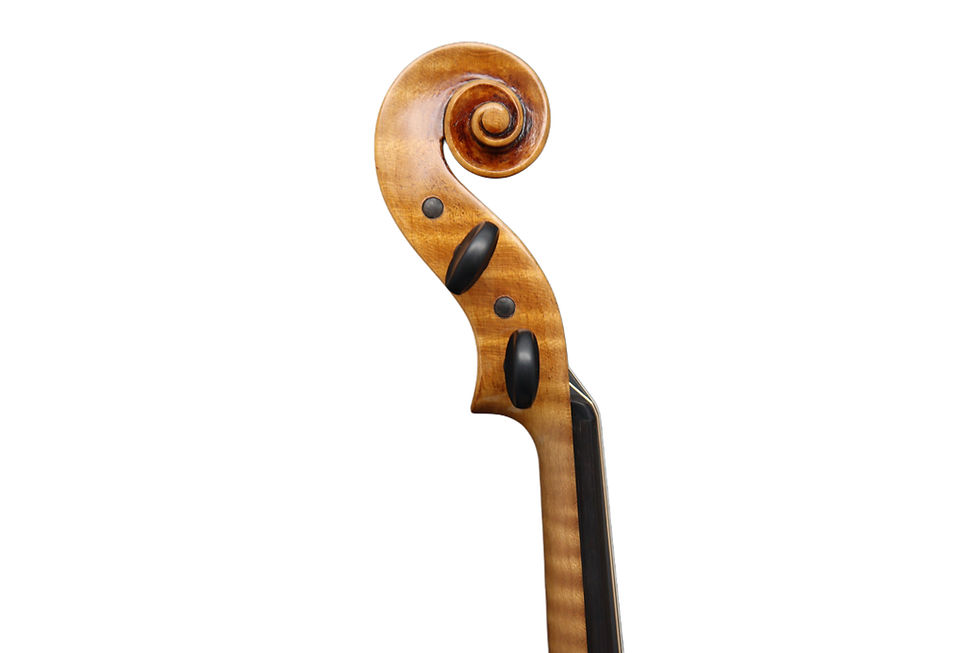 Thumbnail: Violin Model Montagnana