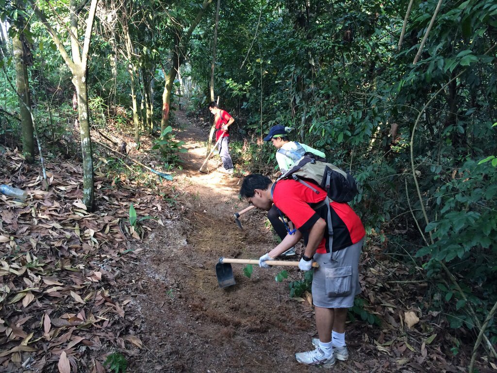 guided hikes