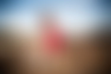 The Martha Bassett Show at Triad Park