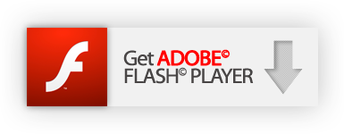 flashplayer.png