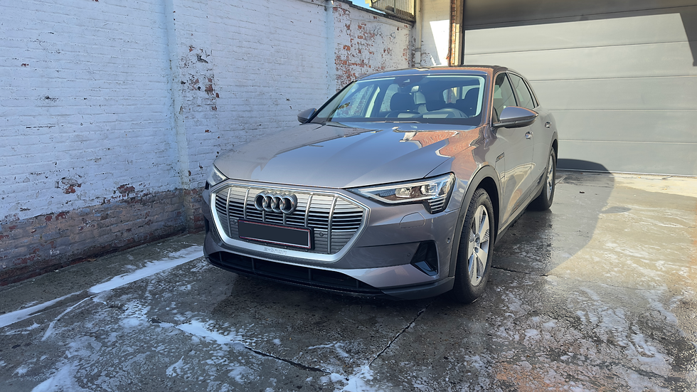Audi e-tron 50 - Duitsland 🇩🇪