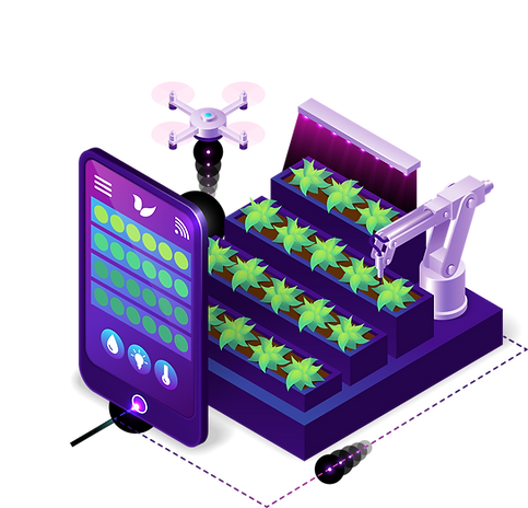 2162 [Convertido].png