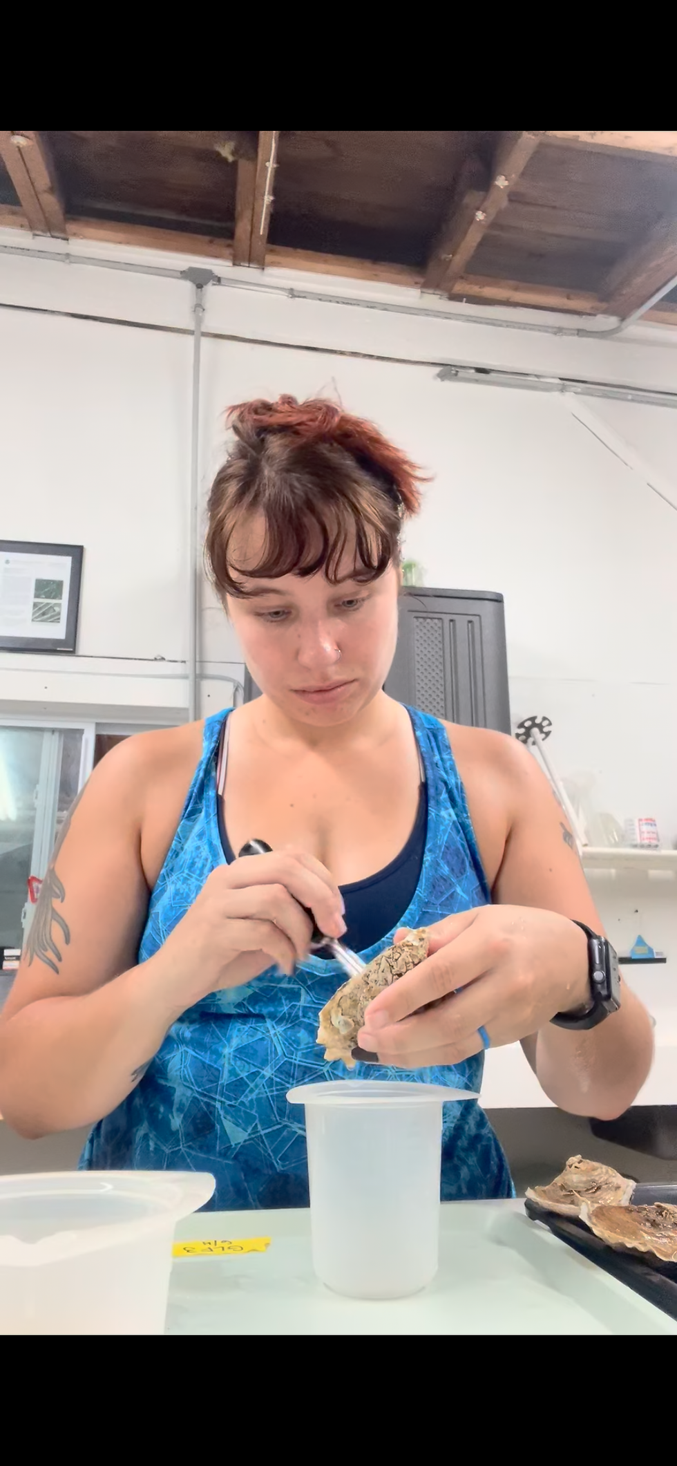 A Commercial Hatchery's Perspective on Biosecure Seed Transfer to the Gulf