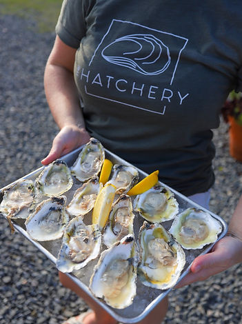 The Hatchery oysters_edited.jpg