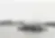 Williams-Wharf-Archive-Photo_original.webp
