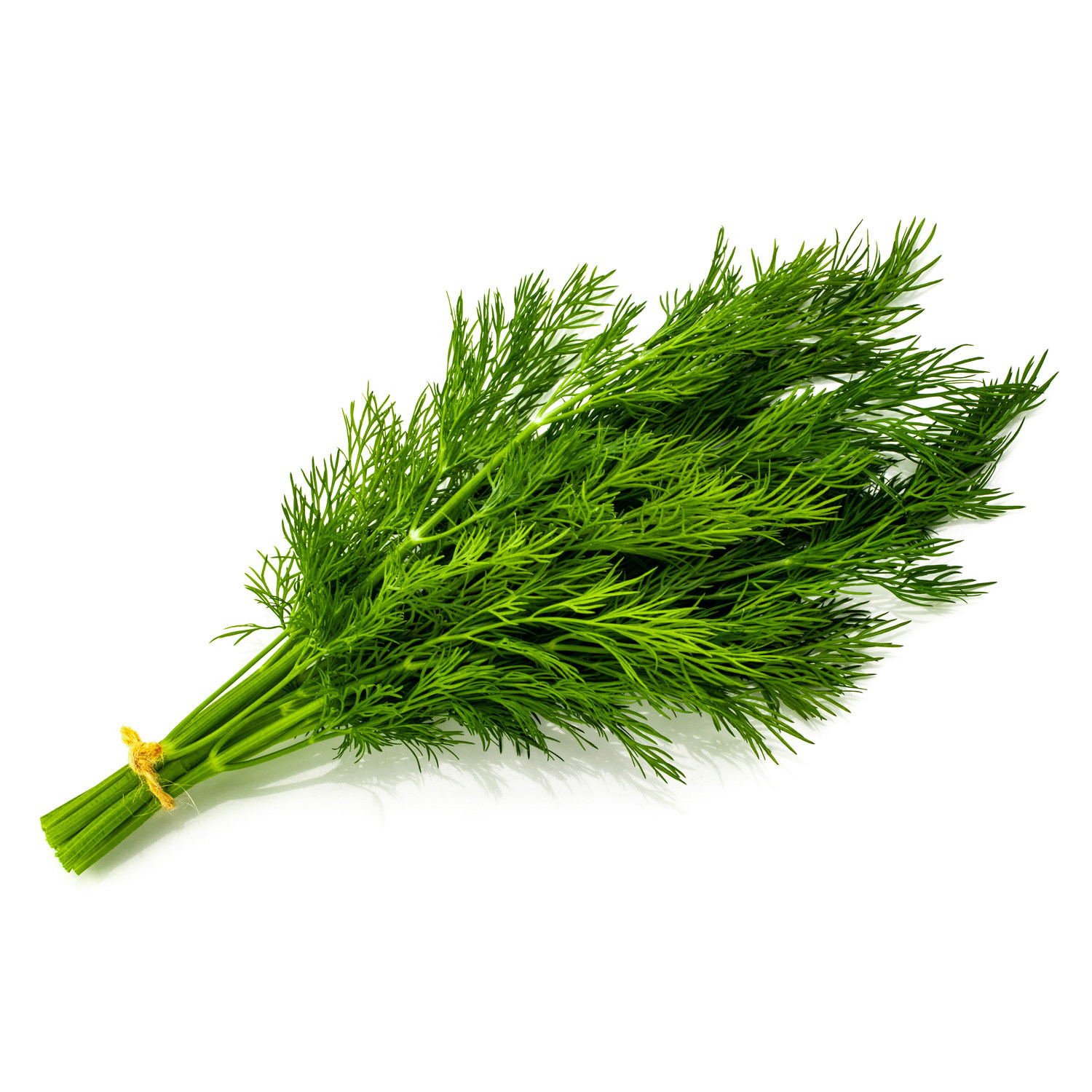 Dill