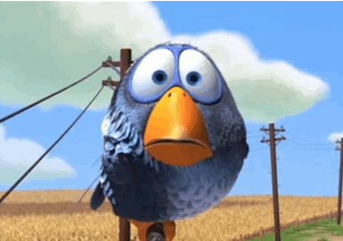 birds.gif