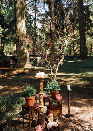 Rhinefield Woods Styled Shoot