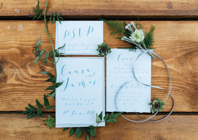 Portesham Vineyard Shoot