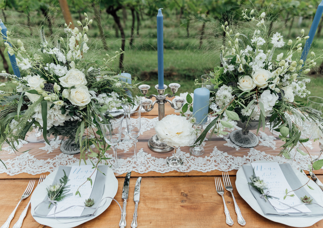 Portesham Vineyard Shoot