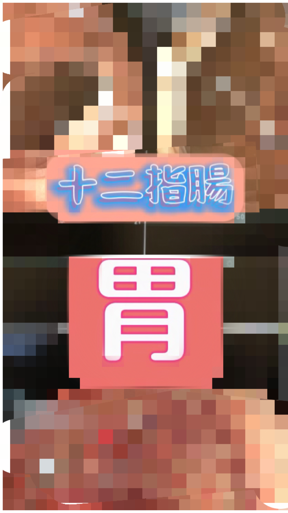 物好き者はコチラ♡