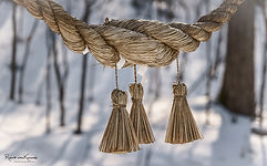 _DSC4145-Edit.jpg