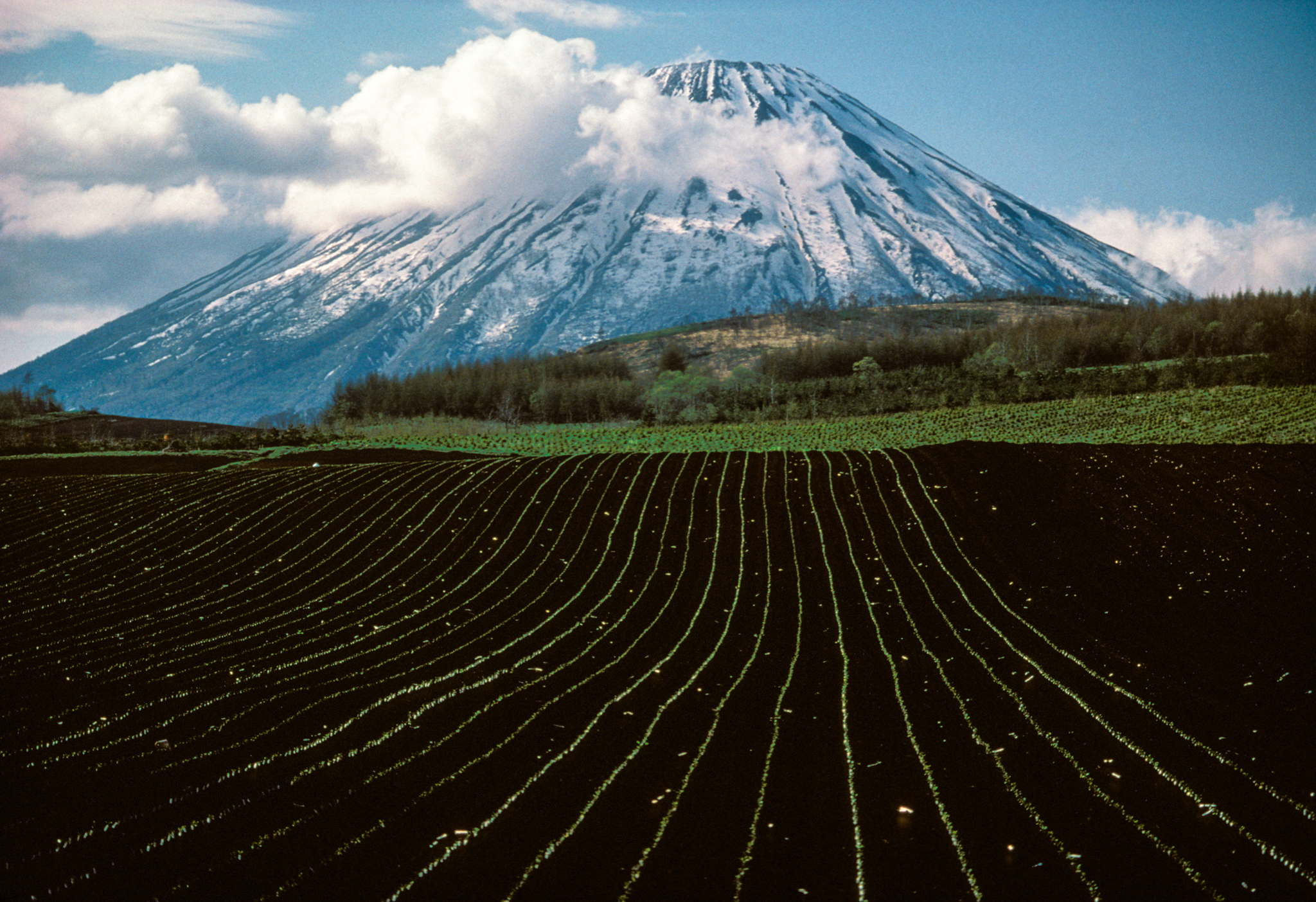 “mountain