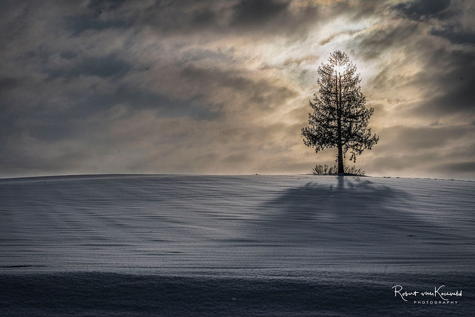 textured-winter-landscape-hokkaido-photo