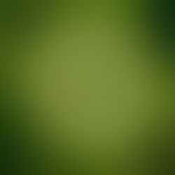 Why Your Career Isn’t Linear (And Why That’s a Good Thing)