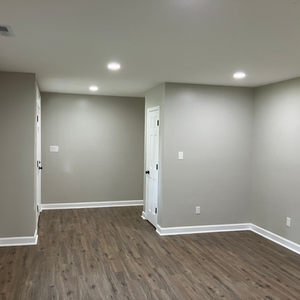 Professional Painting