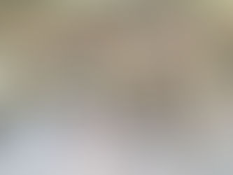 College Football Bowl Games: Rose Bowl 2019