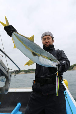 ヒラマサ