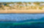 web 7_edited.jpg