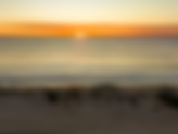 web 22_edited.png
