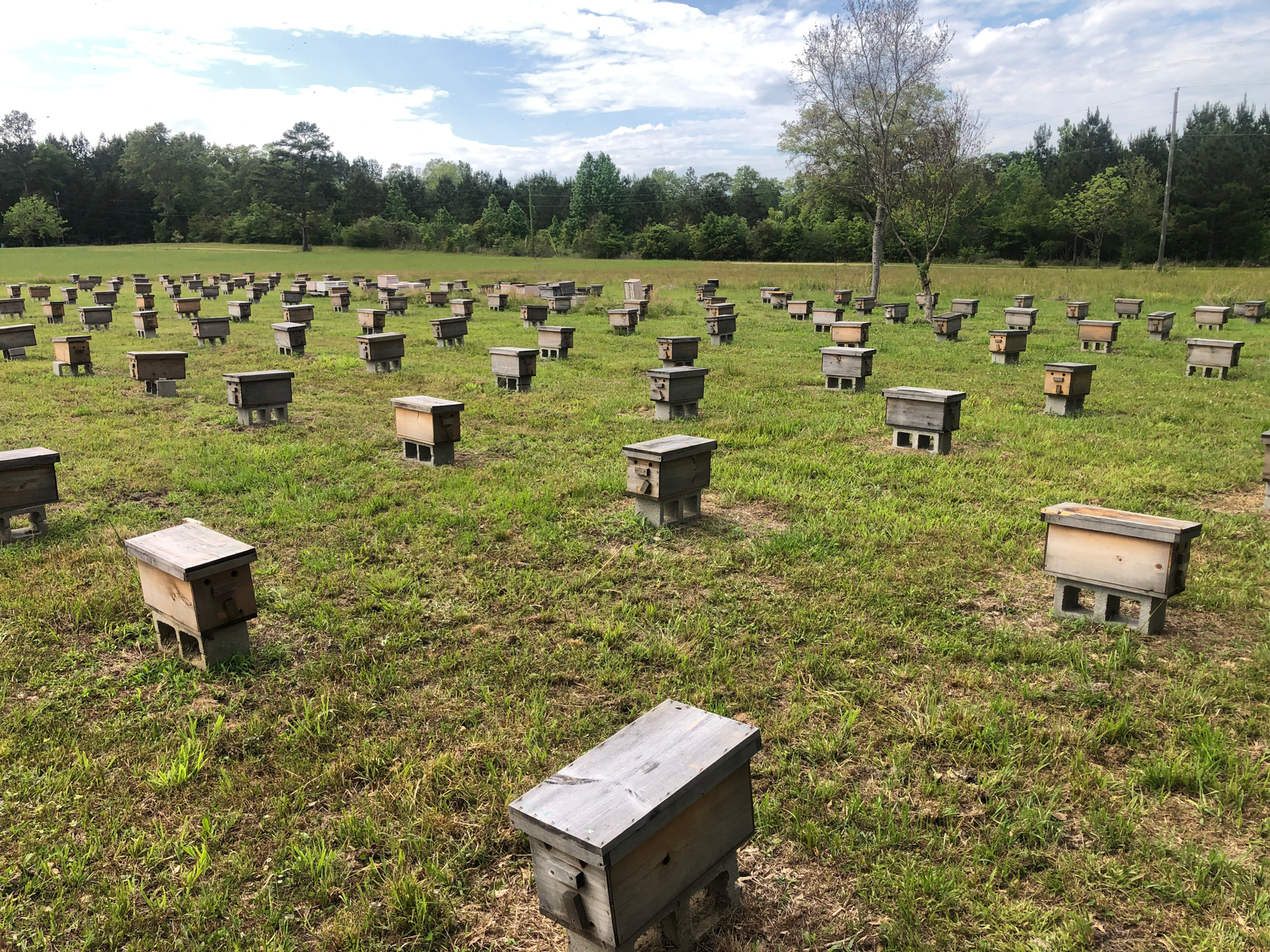 Nucleus boxes