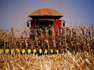 Evolução do agronegócio faz Centro-Oeste superar Sul/Sudeste em renda média em 2025