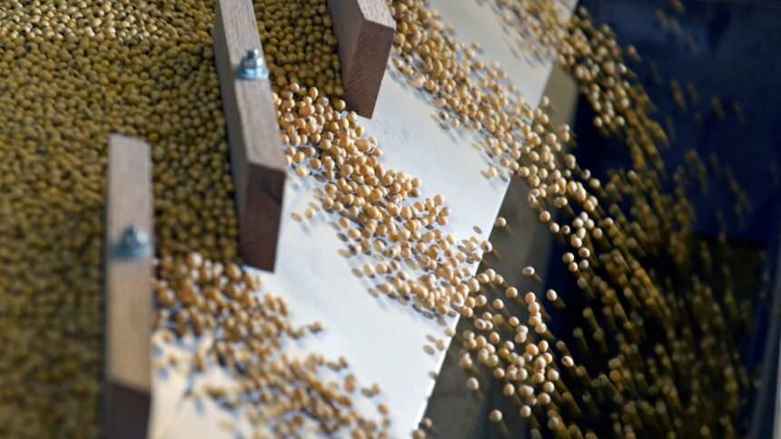 Brasil Detém 73,6% do Mercado de Soja na China em Ano de Recorde Histórico