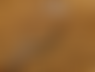 Participação de Mercado da Soja dos EUA na China Cai em 2024, Substituída Pela América Latina