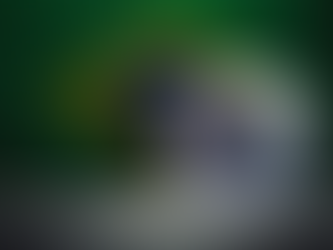 As Previsões para a Economia Brasileira, Segundo Seis Grandes Bancos