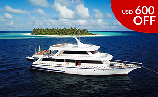 ME - Website discount pics (2)_edited.png