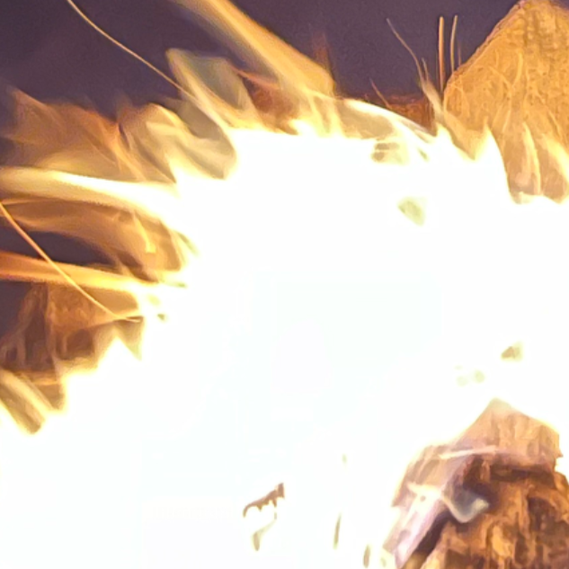 Großaufnahme eines Feuers vor dunklem Hintergrund.