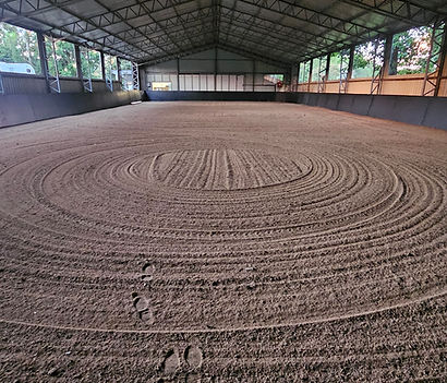 Saddle & Soul Equine Centre Indoor Arena.jpg