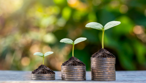 Earnings Potential: What You Need to Know