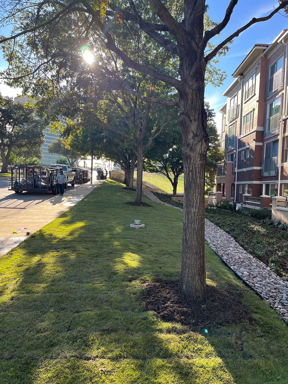 2024-11-22_15-06-27_512