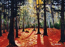 The morning sun rises behind the thick trees casting colors of red and gold.