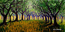 Two rows of thick olive trees circle through the green and orange grass toward the grove in the back.