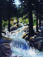 Rushing water makes its way down a rocky canyon through a dense forest of big pines.